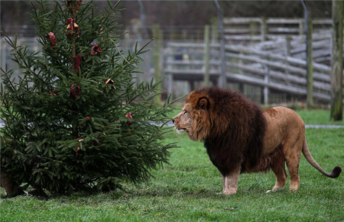 320��ʥ�����������������һ��ʥ��������Ȥ��