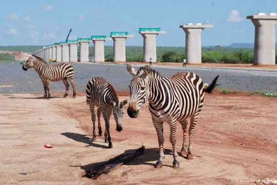 ��������ͳ�߶�����������������ɽ���ǹ��ɶԹ���������