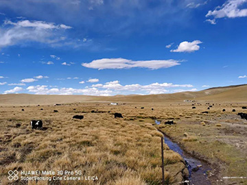 ��ϵ�ǹ��ɶԹ�������׷�ΰ����У�