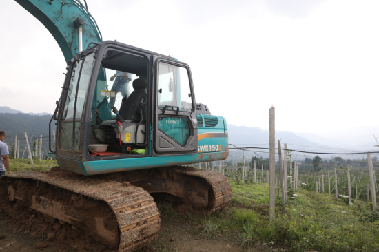 ���ϰ���¸���������