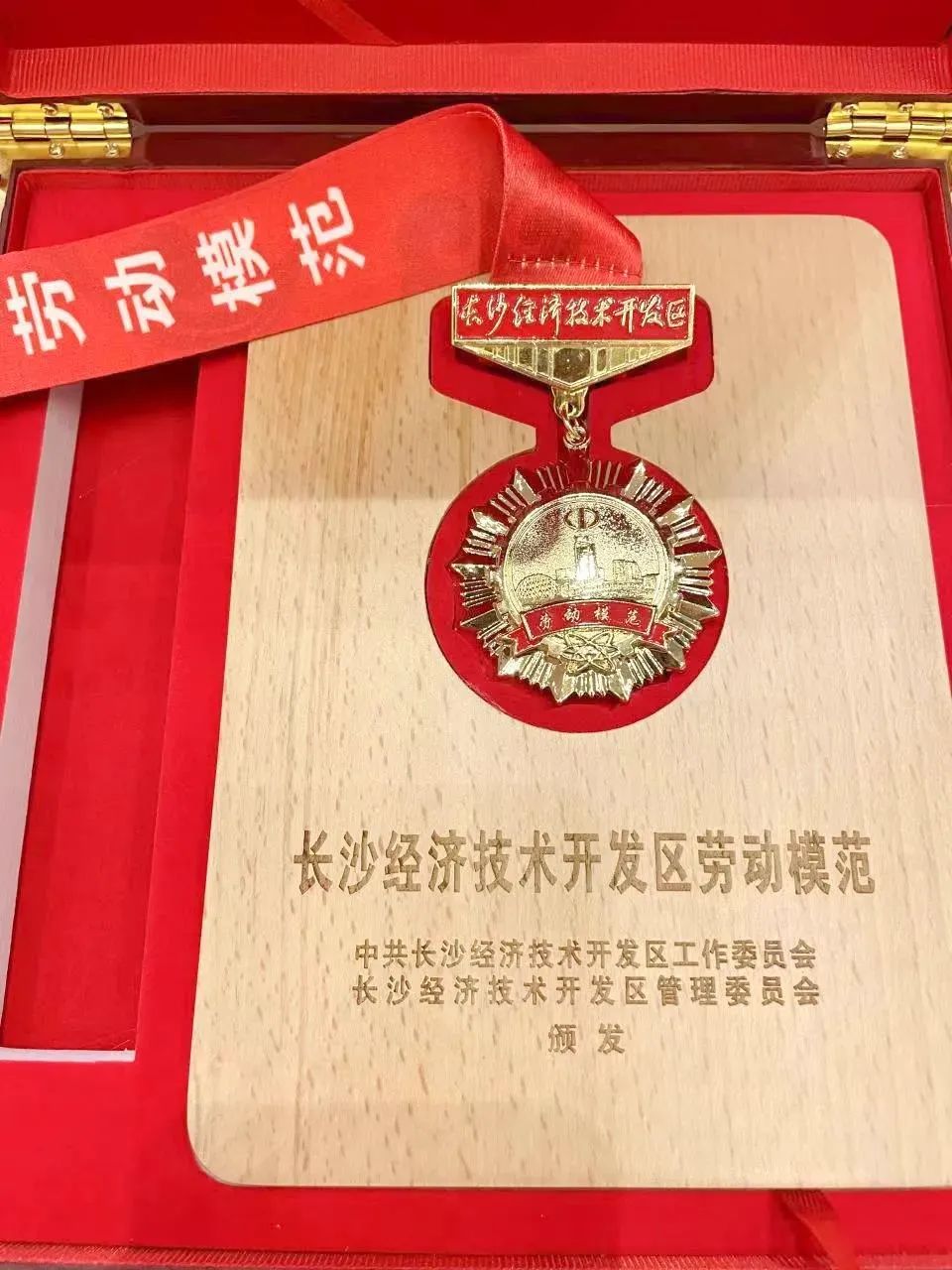 ³¤É³¾¿ªÇøÀÍÄ£ÁÖºêÎ䣺Ôú¸ù¹¤³Ì»úе40ÔØ ÓÀÝáʵ¸ÉÁ¢ÒìС¶ùÐÄ