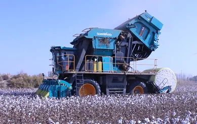 �Ƽ�����ũҵǿ�����裡�ǹ��ɶԹ���������С��˽�ҹ�������Ŀ��ѡ������ʡ�������»�����100���������Ŀ������